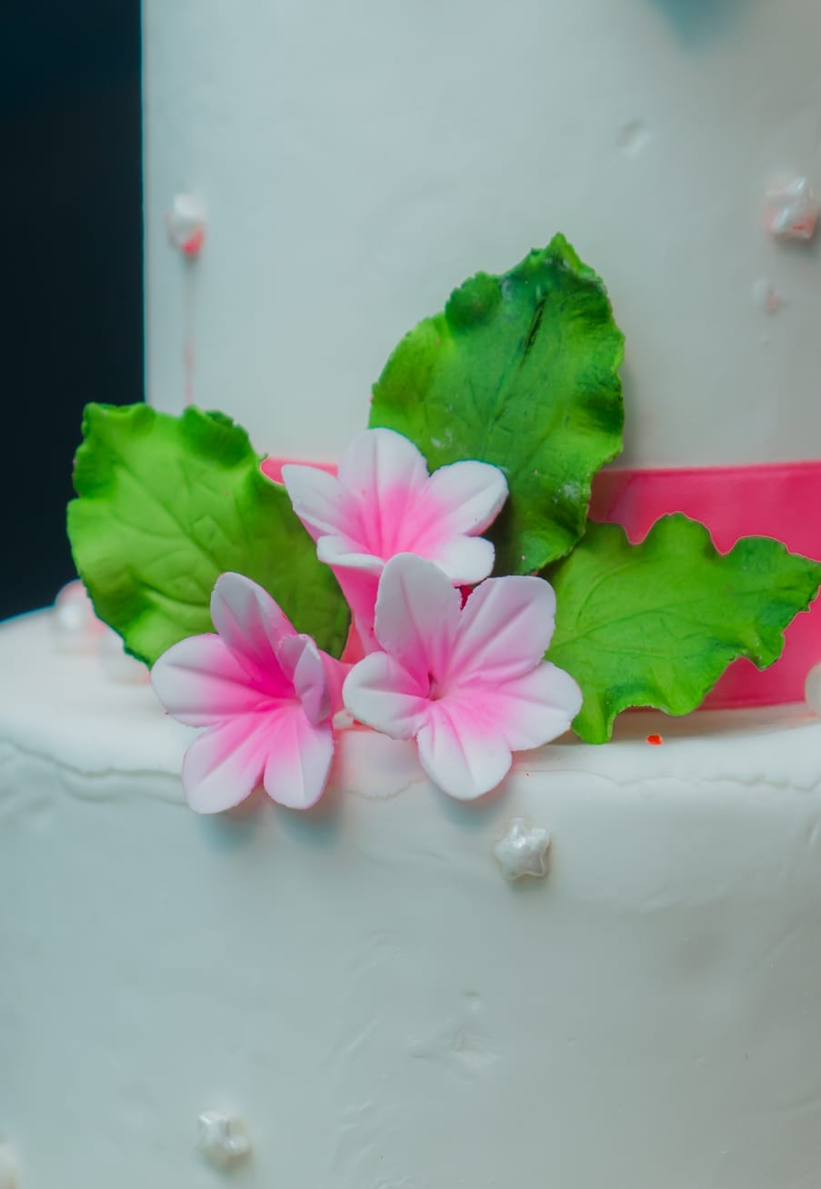 Cake Baking & Pastry Science